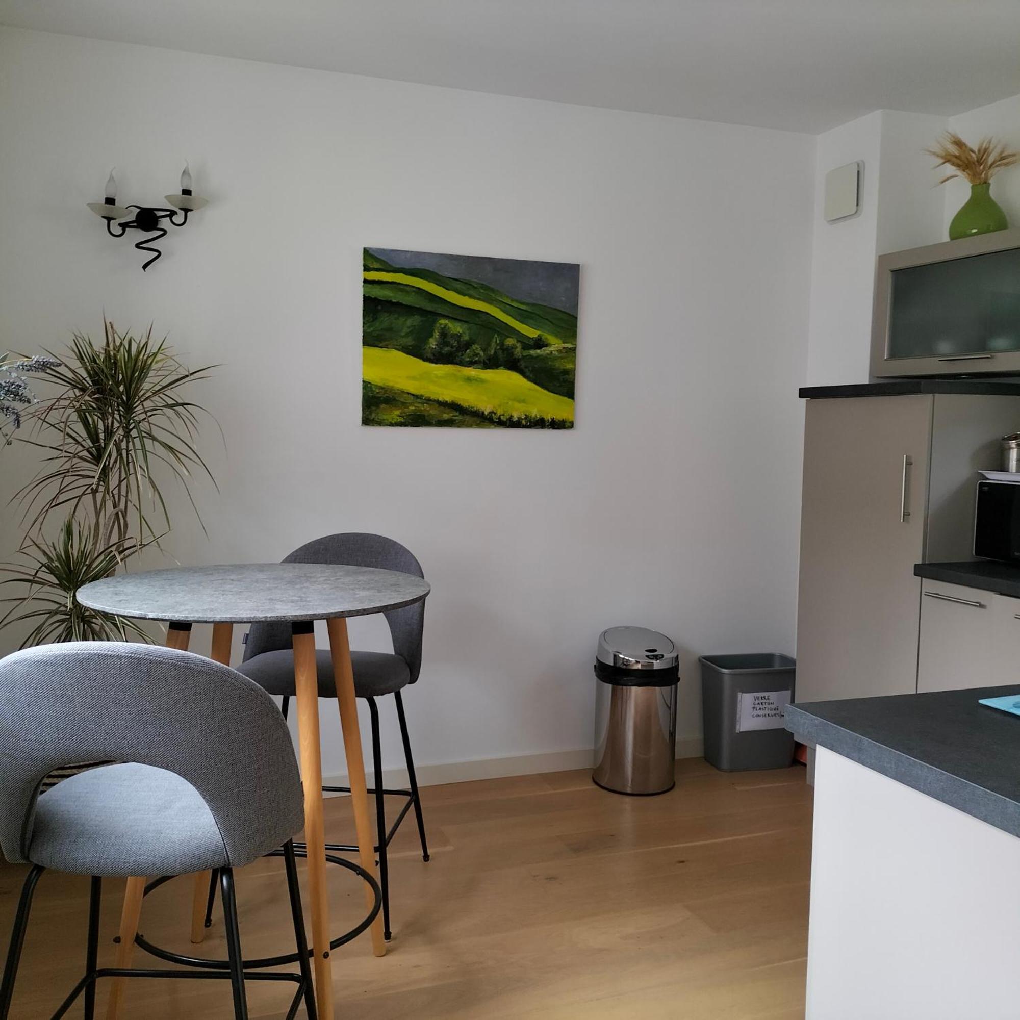 Appartement Salamandre Orléans Exterior foto